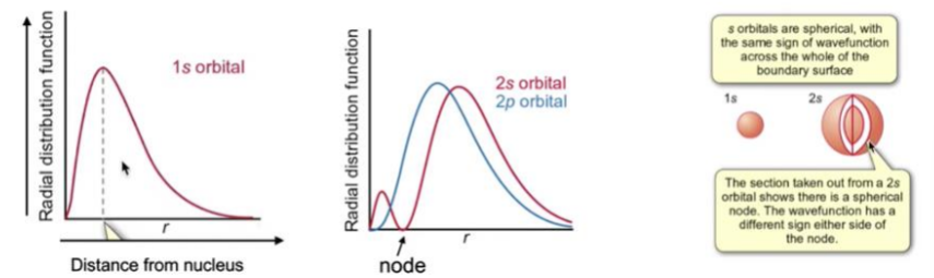 <p>Describe the image</p>