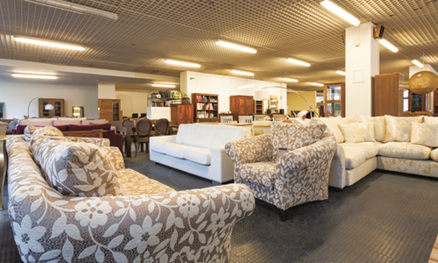 <p>La tienda de muebles</p>