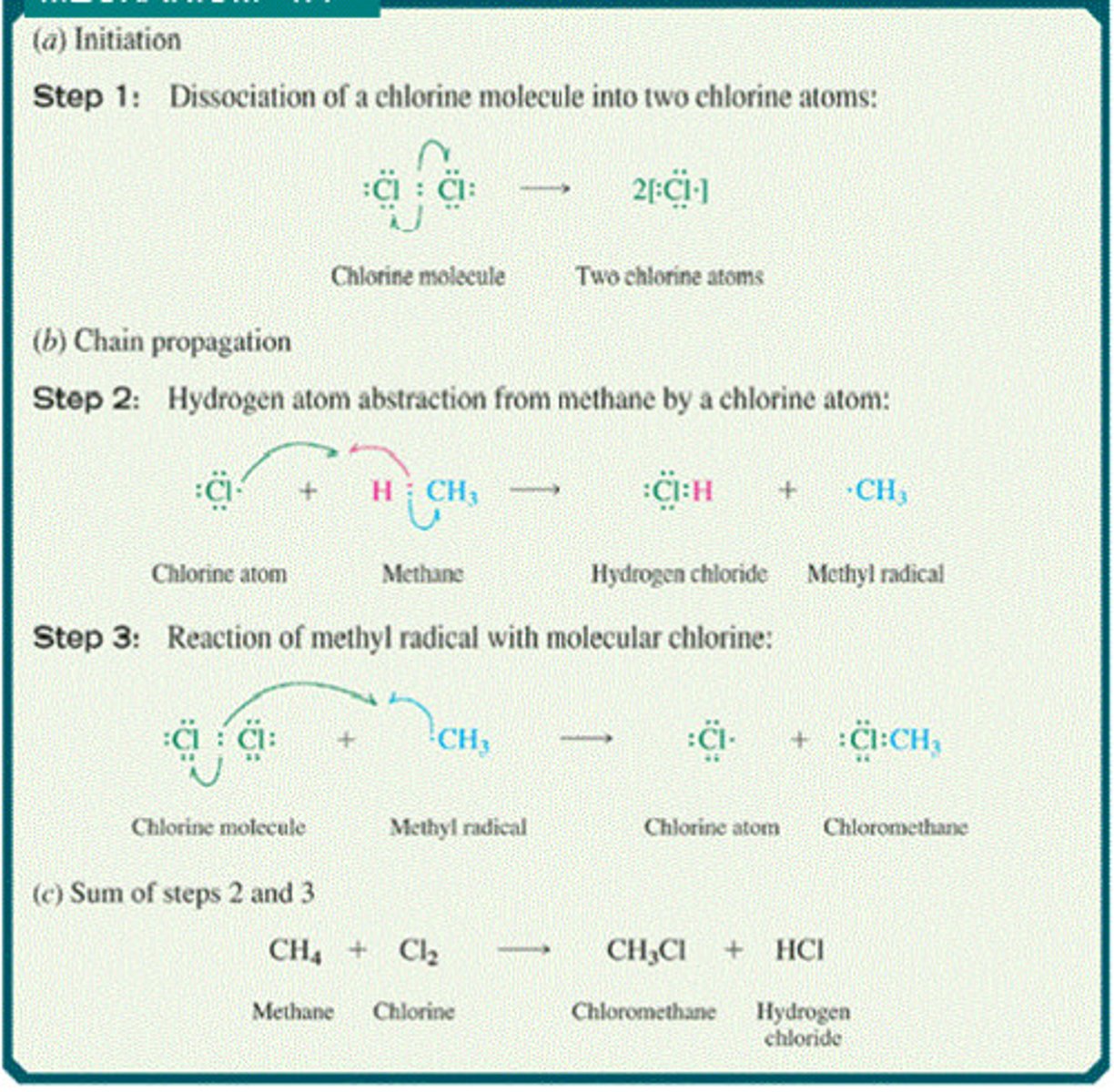 <p>1. Initiation (homolytic cleavage)</p><p>2. Propagation (formation of H-Cl and free radical alkane, then formation of free radical halogen and haloalkane)</p><p>3. termination steps (produces multiple different products from free radicals produced in propagation; ethane, haloalkane, or X2)</p><p>4. overall reaction (indicates the addition of halogen to alkane and production of haloalkane and HX acid)</p><p>-hard to control; gives a mixture of products (difficult to stop substitution of halogens) CH4 + Cl2 --heat/light--> CCl4 + HCl</p>