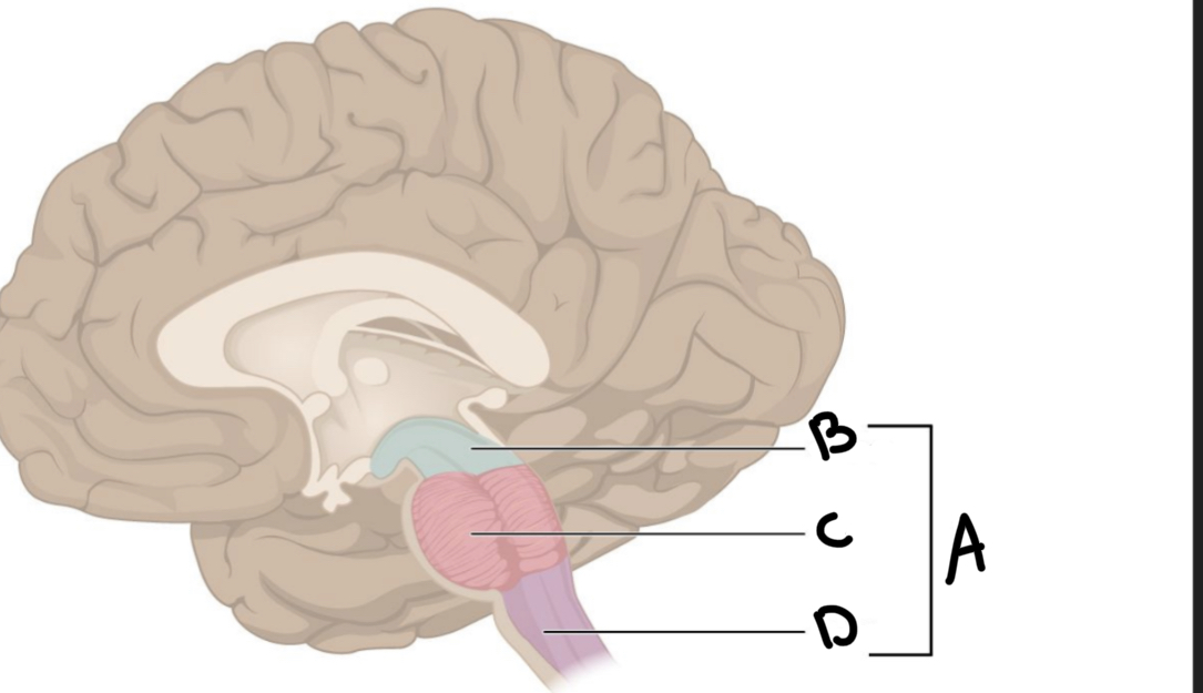 <p>What is C?</p>