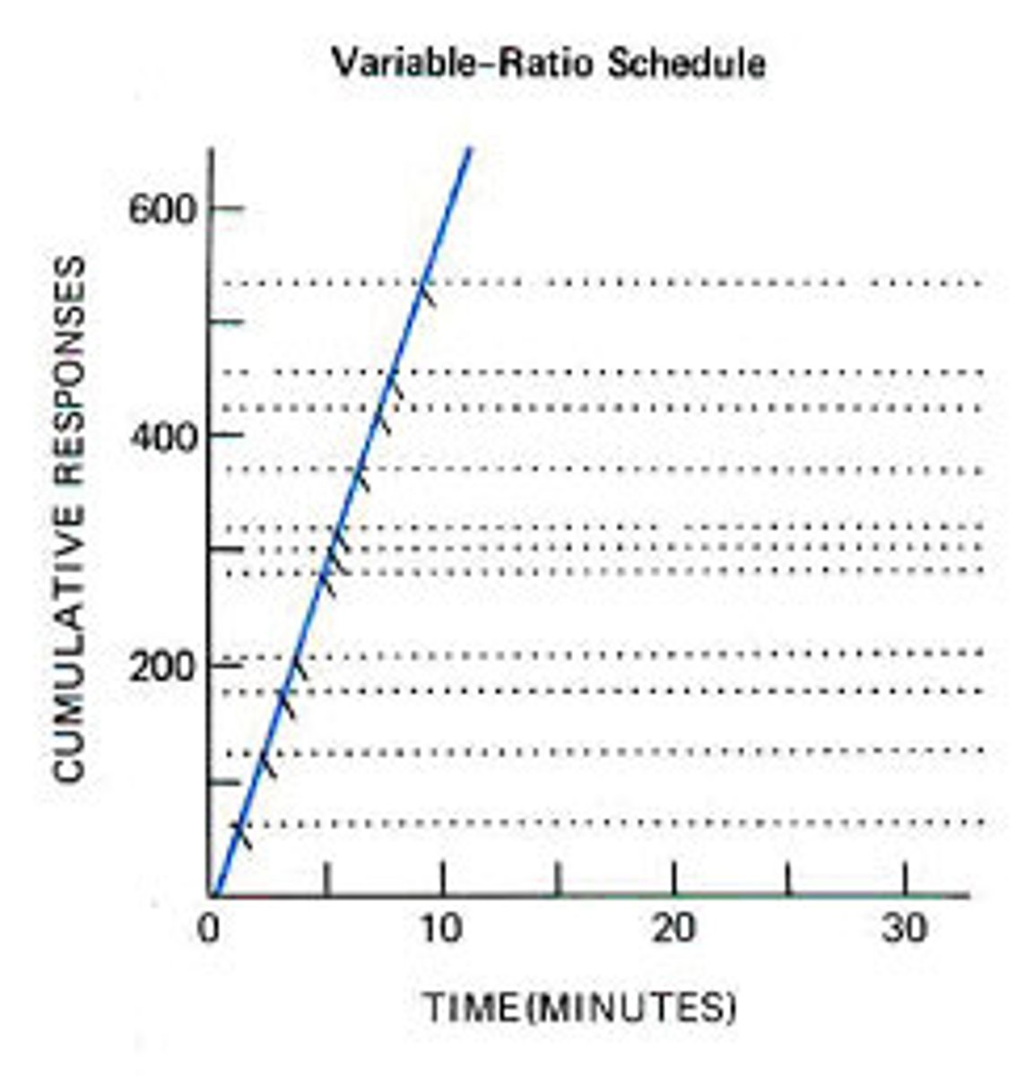<p>reinforces a response after an unpredictable number of responses</p>