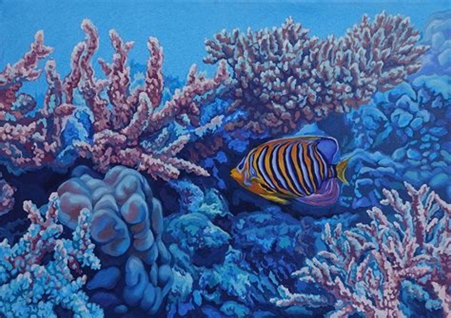 <p>. made up of polyps in the phylum Cnidaria</p><p>. most shallow species obtain energy and nutrients from symbiotic dinoflagellates</p>