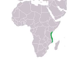 <p>What coast is this?</p>