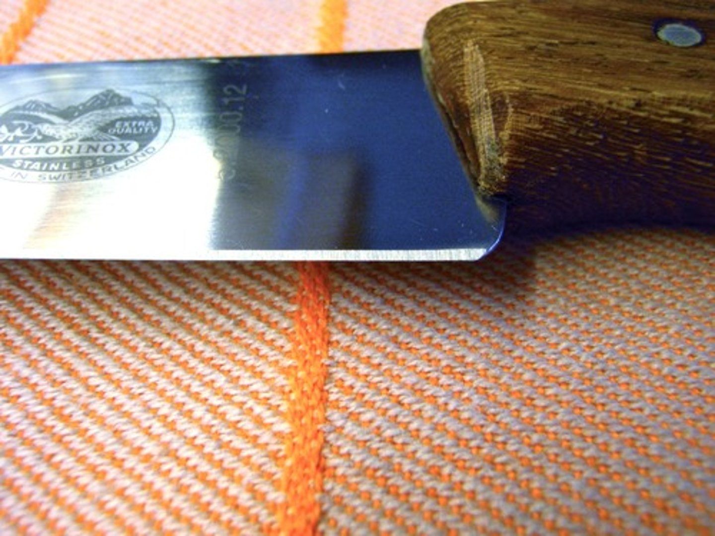 <p>at the forefront or most advanced stage of development in a particular field (dẫn đầu)</p><p>ex: Being ... biotechnological research necessitates rigorous ethical oversight to prevent malpractice.</p>