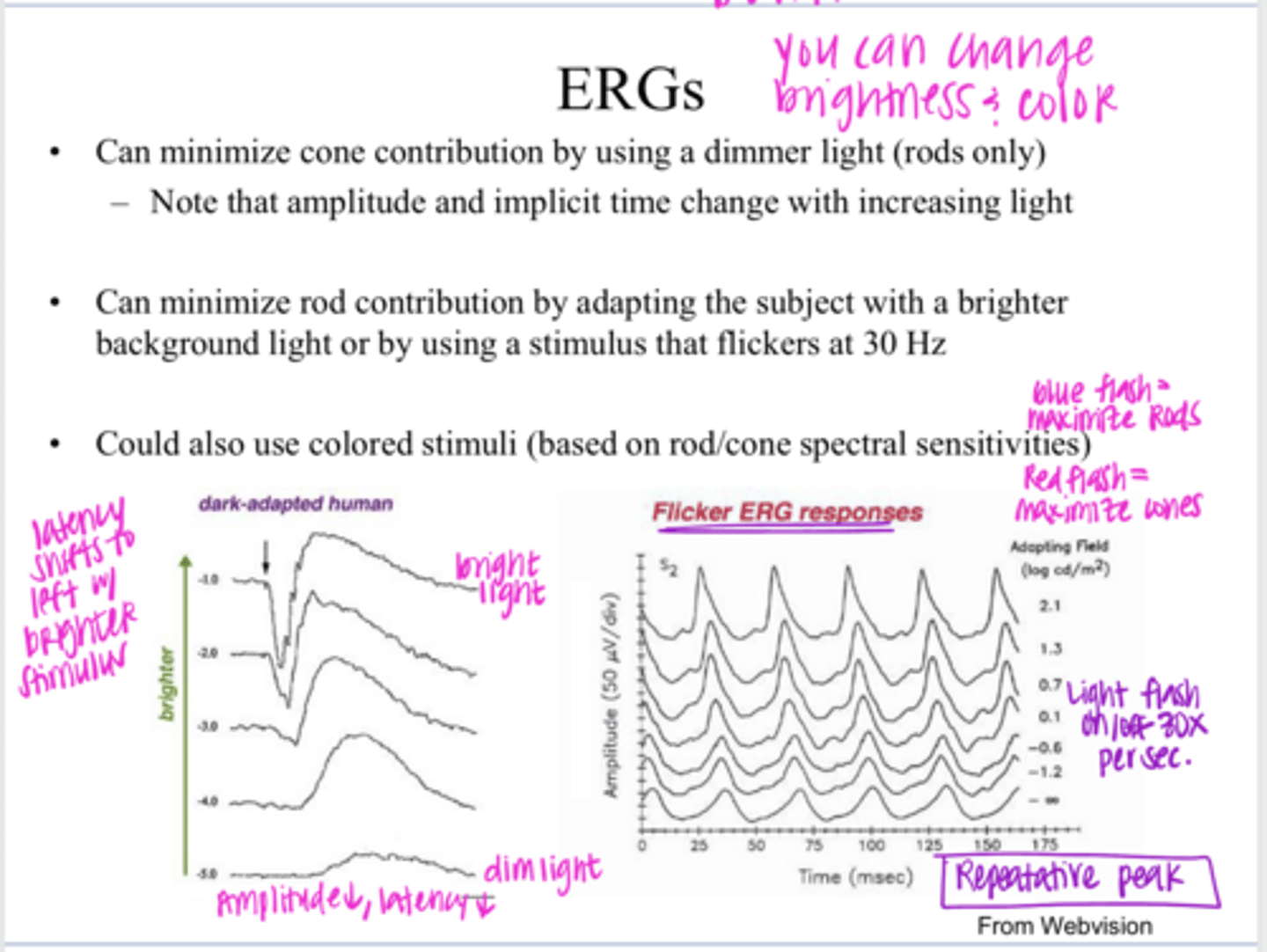 <p>Why would a flicker at 30Hz stimulate a cone only response on ERG?</p>