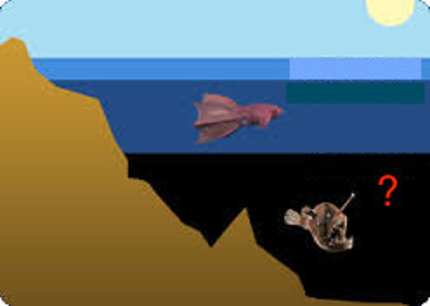 <p>The region in aquatic environments where little to no light penetrates.</p>