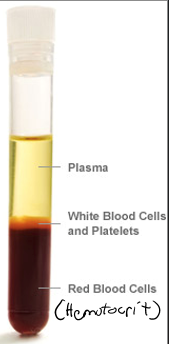 <ul><li><p>Blood Plasma</p></li><li><p>Blood Cells</p><ul><li><p>Erythrocytes (RBC)</p></li><li><p>Leukocytes (white blood cells)</p></li><li><p>Thrombocyte (platelets)</p></li></ul></li></ul><p></p>