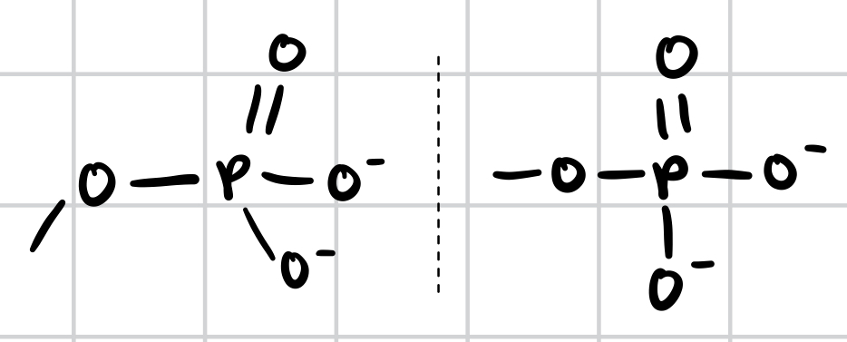 <p>Contributes a negative charge (1- when positioned inside a chain of phosphates, 2- when at the end); when attached, gives the molecule the ability to react with water and release energy (ATP)</p>