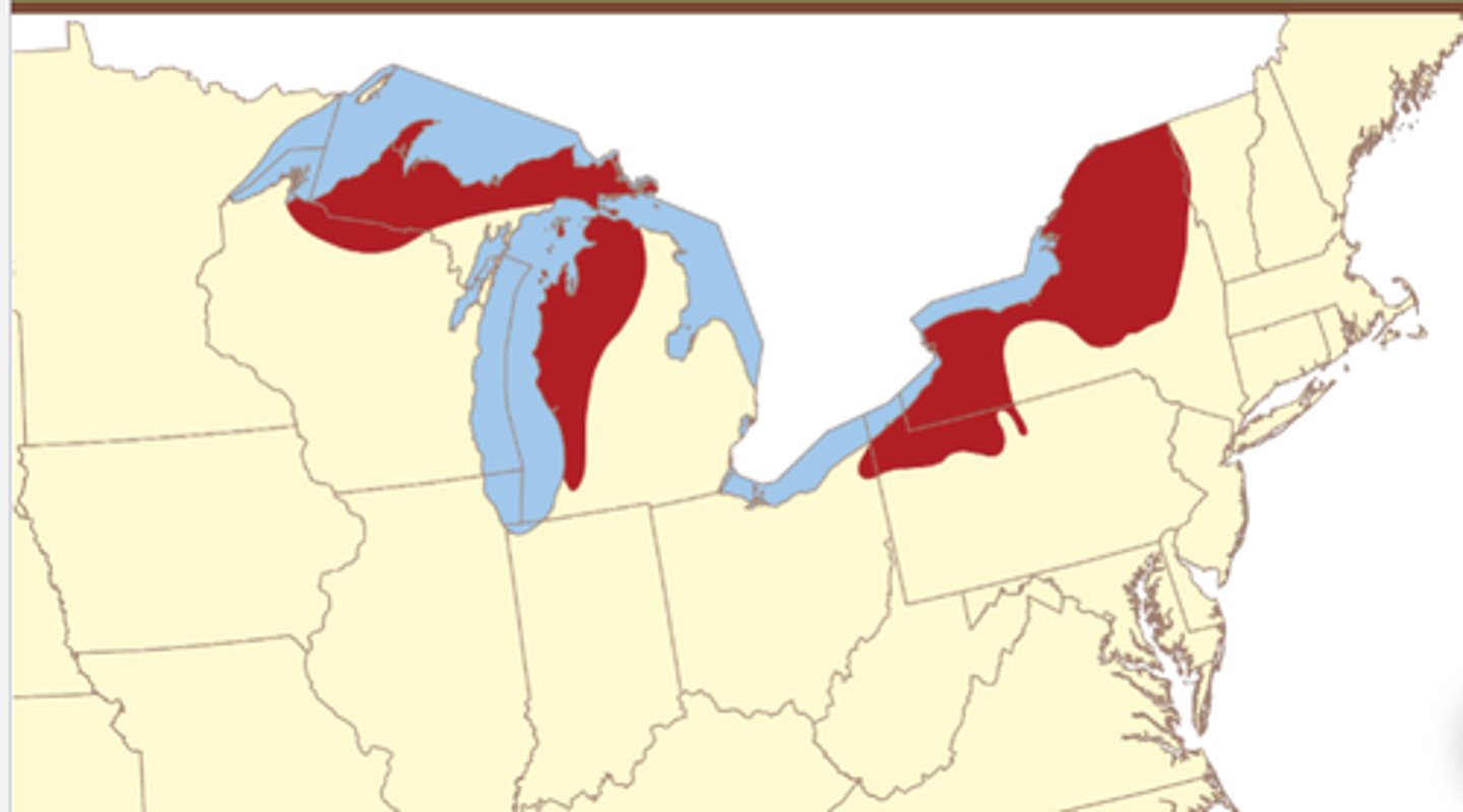 <p>So basically, the lake effect happens in a similar way that the rain shadow effect happens.</p><p>We have open water that's relatively warm, sending moisture up into the atmosphere.</p><p>As that air mass moves across the lake, it picks up that moisture.</p><p>As it hits the land, it starts to lift that humid air mass and lifts and we get precipitation.</p>
