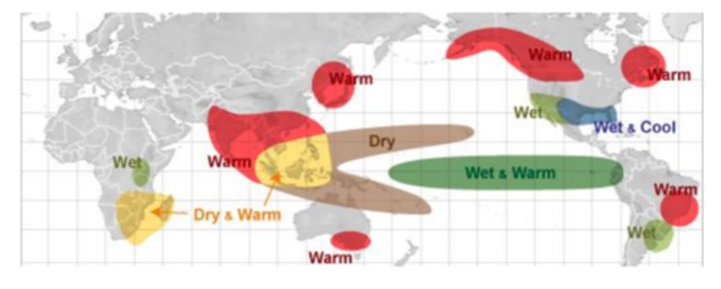 <p>possible ____ of el nino: decrease in nutrients (reduces primary productivity, causes decline in fish populations), can alter the weather of at least 2/3 of the globe especially in lands along the Pacific and Indian Ocean</p>