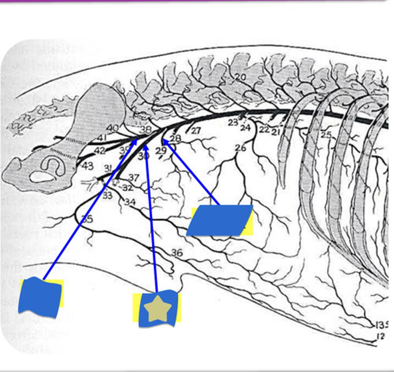 knowt flashcard image