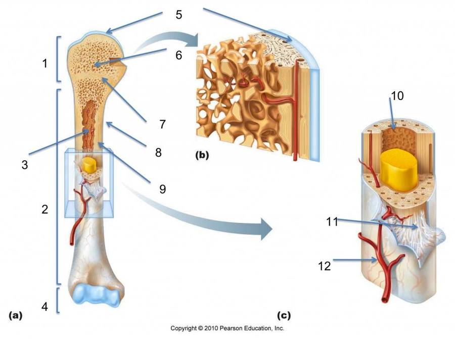 Structure #3 is