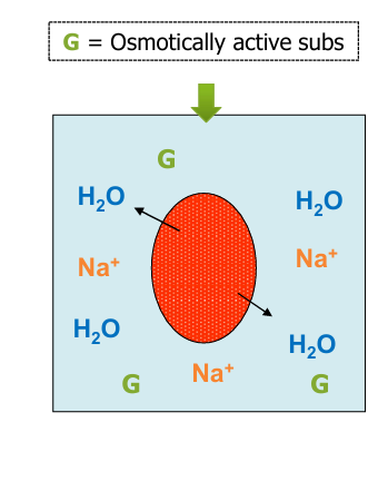 <p>-unmeasured solutes</p><p>-”translocational” hypoNa</p>
