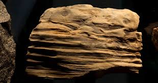 <p>Identify the sedimentary rock</p>
