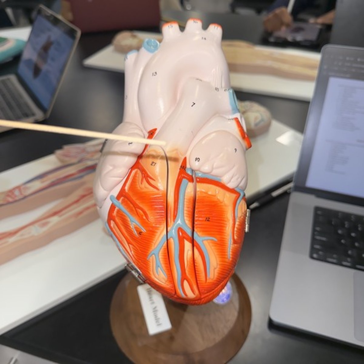 <p>Identify the region.</p>