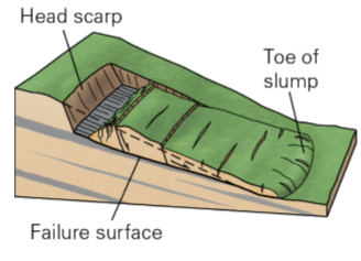 * A landslide that moves along a regular sloping planar surface
* Typically occurs where a block of material is underlain by a weak surface that is basically parallel to the slope
  * Planes between sedimentary beds
  * Old faults and fractures
  * Debris or cohesive mud over underlying bedrock
* Material travels down slope as a cohesive unit
  * Once it breaks up it is classified as something else
