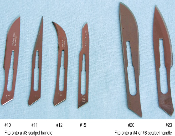 <ul><li><p>#10, 11 (puncture skin, open artery, and sever ligaments), 12 (lance abscess), and 15 fit #3 scalpel handle</p></li><li><p>#20 and 23 fit onto #4 or #8 handles</p></li></ul>