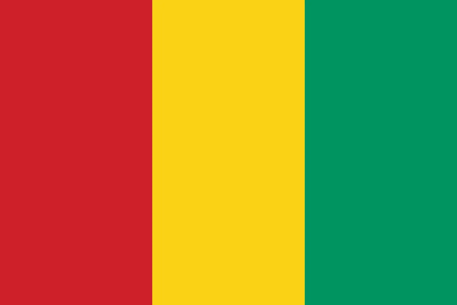 <p>Guinea </p>