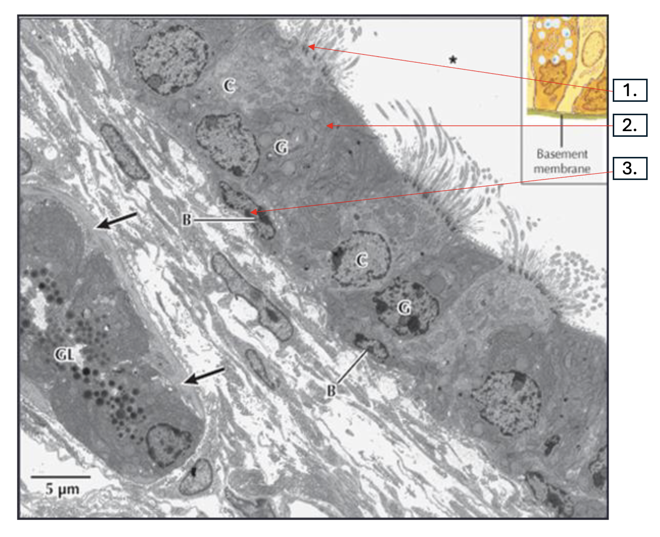 <p>What is number 2?</p>