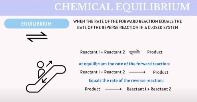<p>When the rate of the forward reaction reaction equals the rate of the reverse reaction in a close system.</p>