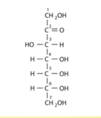 <p>what is the name of this structure? </p>