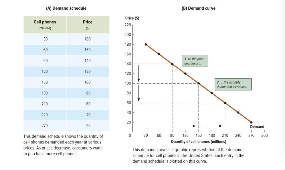 <ul><li><p>downward slope</p></li><li><p>inverse relationship between price and quantity</p></li><li><p>only reps the relationship between price and quanity demanded with EVERYTHING ELSE HELD CONSTANT - if not, curve shifts</p></li></ul><p></p>