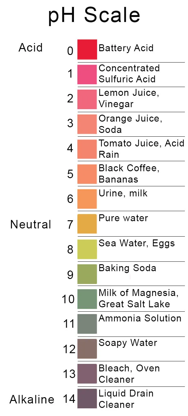 <p>Using a pH meter, you find the pH of an unknown solution to be 8.0. How would you describe this solution?</p><ul><li><p>weakly acidic</p></li><li><p>strongly acidic</p></li><li><p>weakly basic</p></li><li><p>strongly basic</p></li></ul>