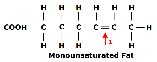 One double bond in the carbon chain