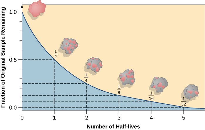 <p><span>The fraction of the original sample remaining (represented by the pink) decreases and the fraction that has decayed (represented by the grey) increases.</span></p><p><span>As the number of undecayed nuclei decreases, the number of decayed nuclei increases.</span></p>