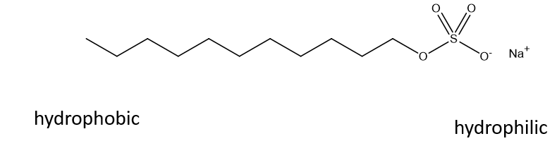 <p>Molecules with both hydrophobic and hydrophilic domains</p>