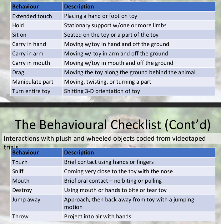 <p>This was used throughout the study to code the interactions with plush and wheeled objects the monkeys had throughout the study.</p>