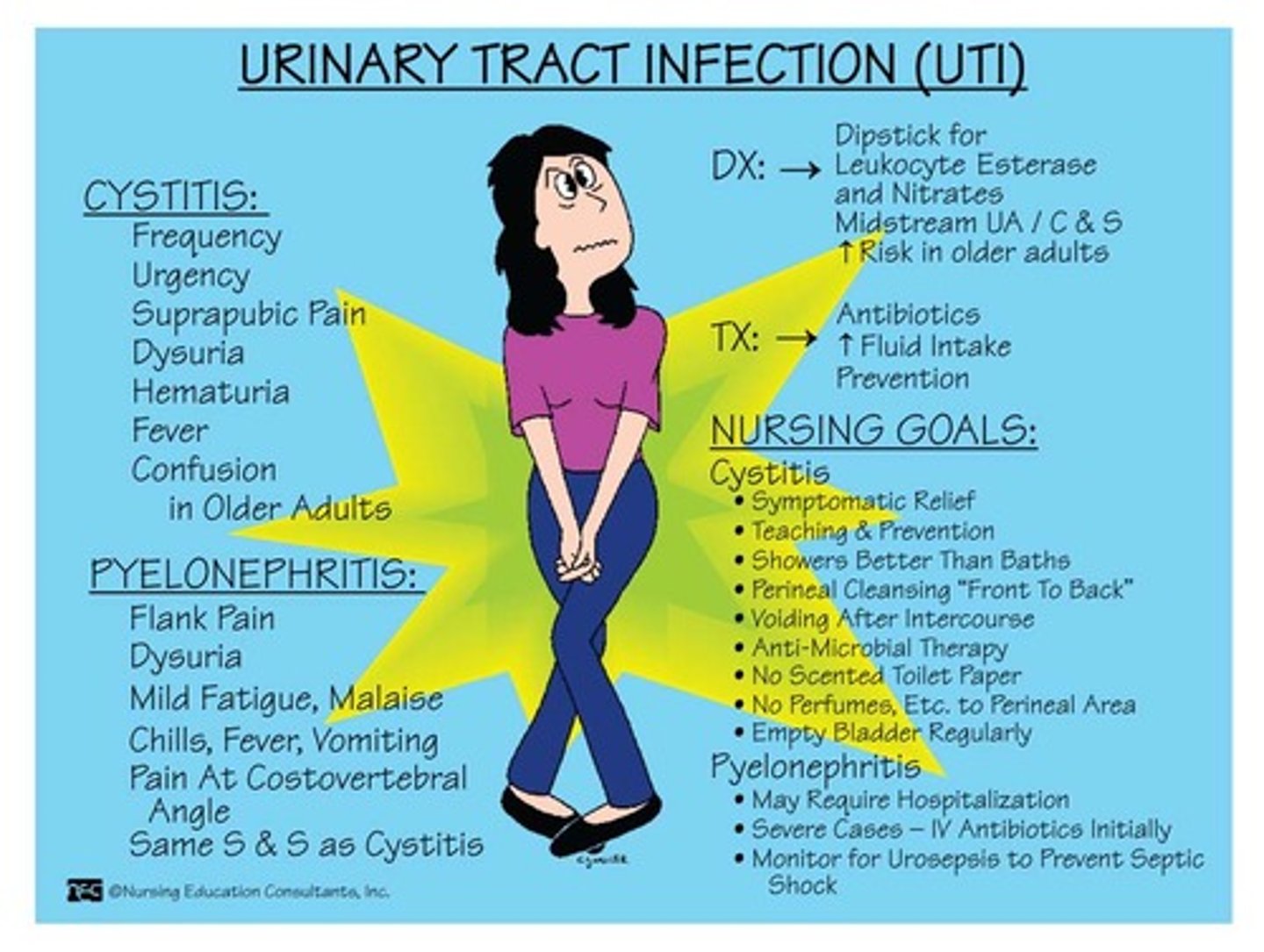 <p>Infection anywhere in the urinary tract, usually caused by e.coli,There can be UPPER (ex. pyelonephritis) and LOWER UTIs</p>