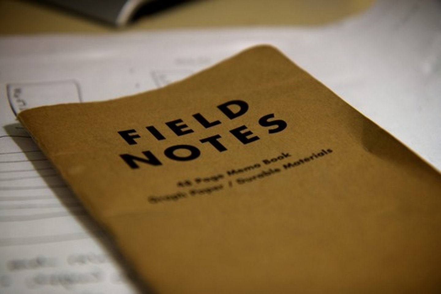 <p>a study of a phenomenon in a natural setting</p>