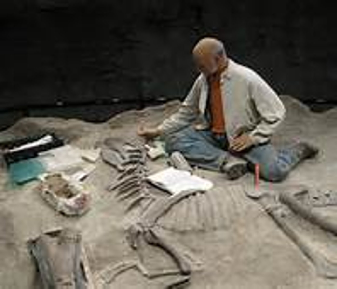 <p>What animals were found in an area.</p><p>Evolution.</p><p>Ancient environments and climates.</p>