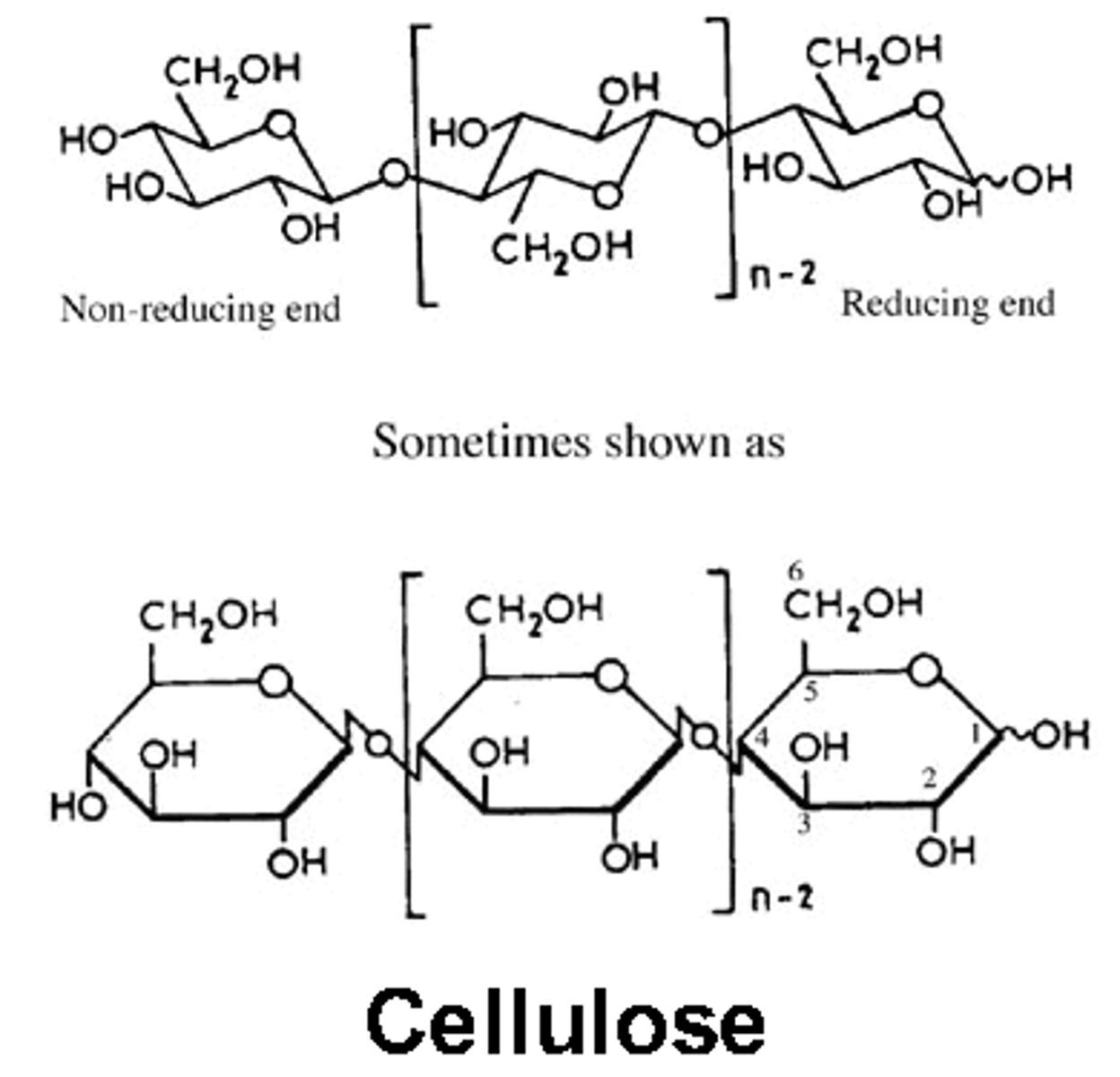 <p>Beta 1,4 bonds, BUT every second glucose molecule is flipped</p>