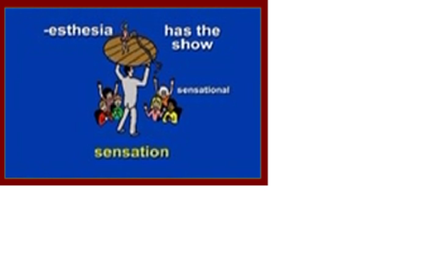 <p>sensation, feeling</p>