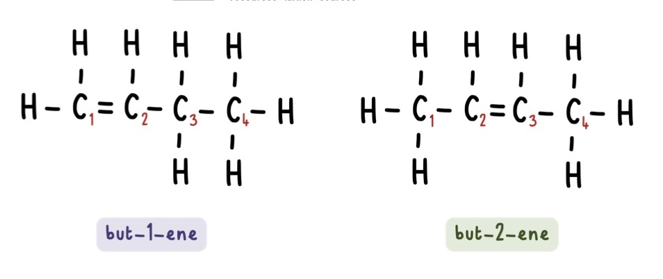 <p>but-1-ene has the double carbon bond between carbon 1 and carbon 2 while</p><p>but-2-ene has the double carbon bond between carbon 2 and carbon 3</p>