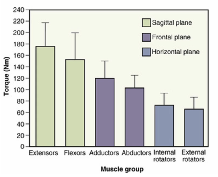<p>Greatest to least torque potential:</p><ul><li><p><strong>Extensors &gt; Flexors</strong> (Sagittal)</p></li><li><p><strong>Adductors &gt; Abductors</strong> (Frontal)</p></li><li><p><strong>Internal rotators &gt; External rotators</strong> (Horizontal)</p></li></ul><p></p><p>ext &gt; flx &gt; add &gt; abd &gt; IR &gt; ER</p><p>EFDBIE</p><p>Existential Fcking Dilemma! Benjamin Is Exploding</p>