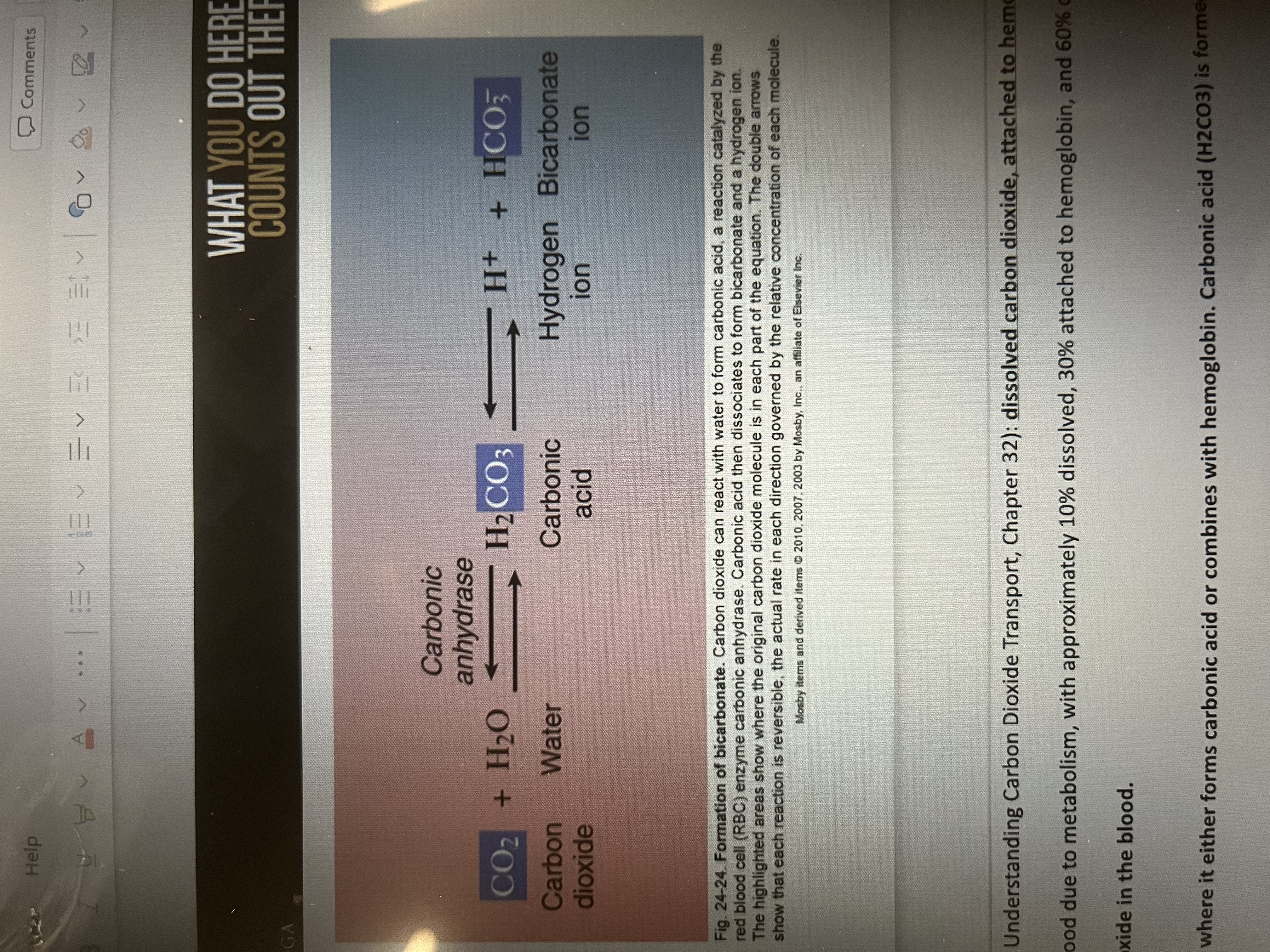 <p>CO2 +H2O → ← H2Co3 → ← H+ +HCo3</p><p></p>