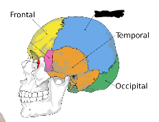 <p>what is this?</p>