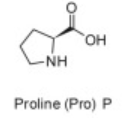 <p>Pro</p>