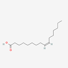 <ul><li><p>unsaturated </p></li><li><p>16:1 </p></li><li><p>omega 7</p></li></ul>