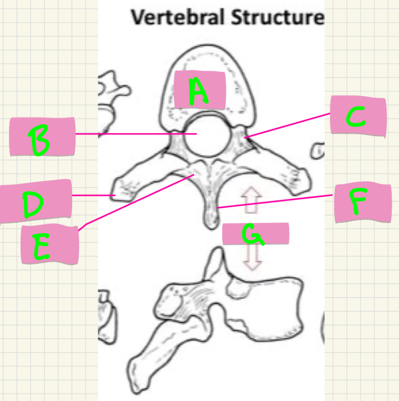 <p>What’s A-D?</p>