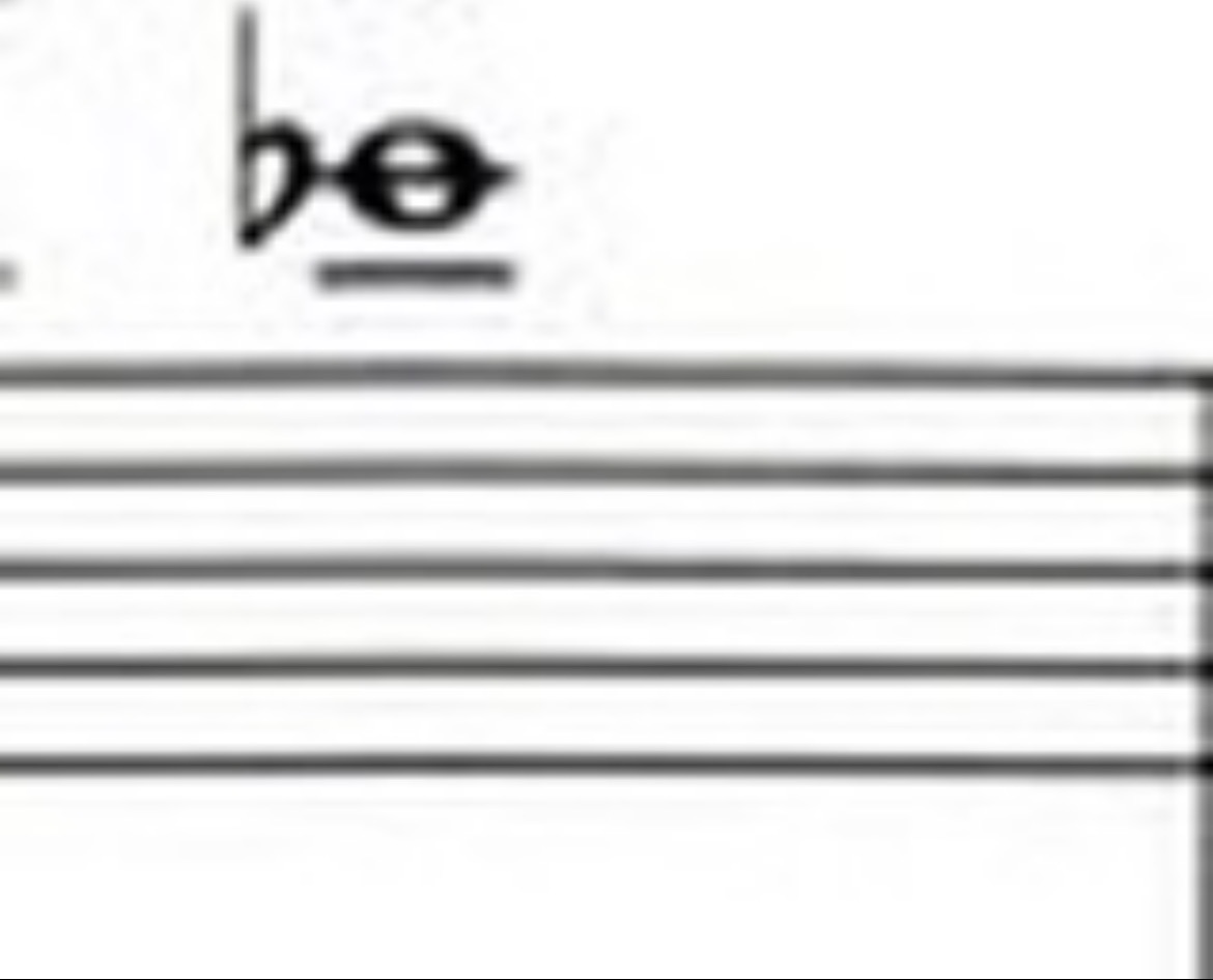 term image