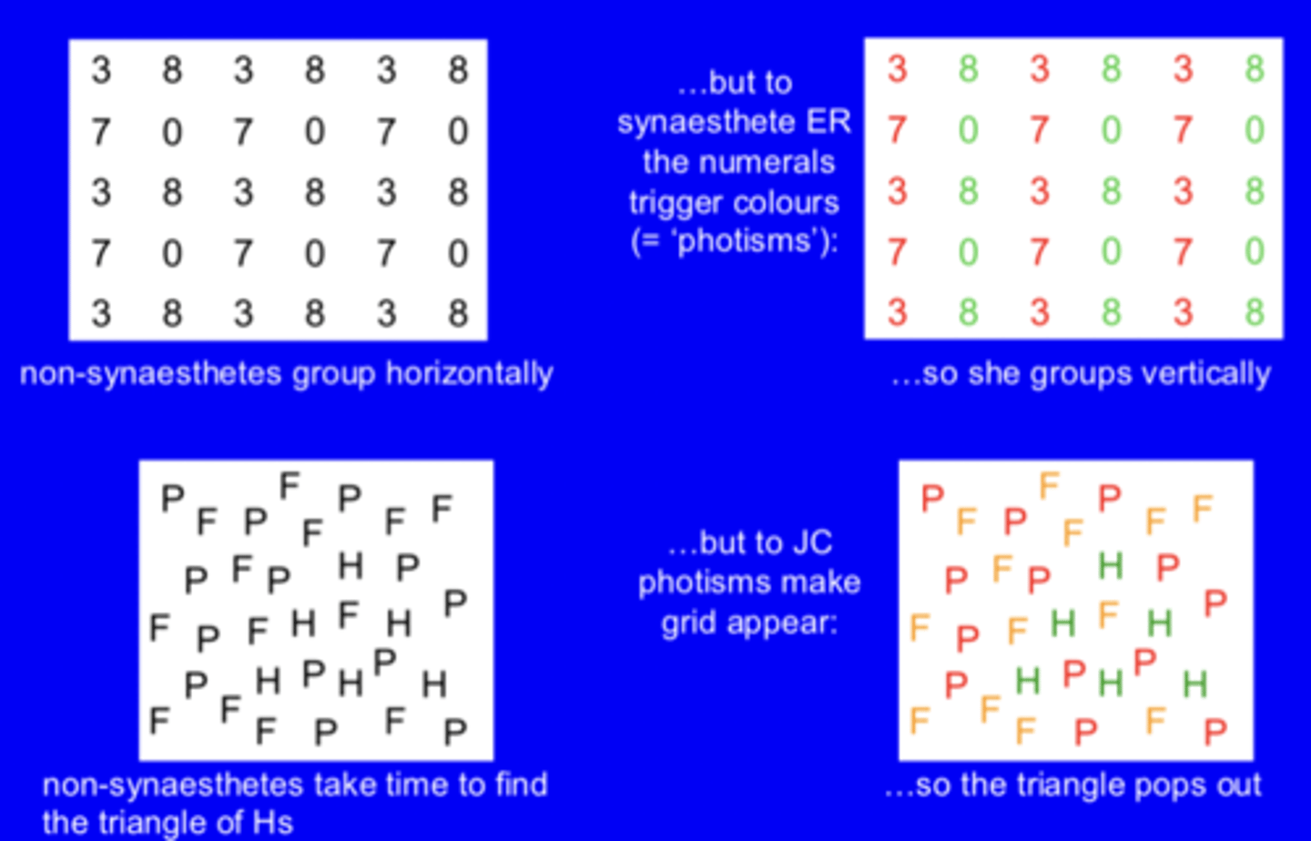 <p>Ramachandran & Hubbard (2001)</p><p>-using Gestalt principles</p><p>Rows of 3 +8 and 7 +0</p><p>-non-syneasthates group horizontally</p><p>...but to synaesthete ER the numerals trigger colours (= 'photisms') that allign in colums so she groups vertically (3,7 +8,0)</p><p>Black Fs,Ps, Hs - there is a triangle of H's</p><p>--non-synaesthetes take time to find the triangle of Hs</p><p>...but to JC photisms make grid appear...so the triangle pops out</p><p>Much more perceptual!</p>