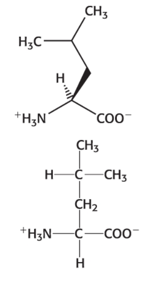 <p>Category: Hydrophobic </p>