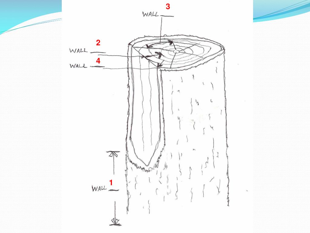 <p><span>(Weakest) Plugs infection above and below the wound</span></p>