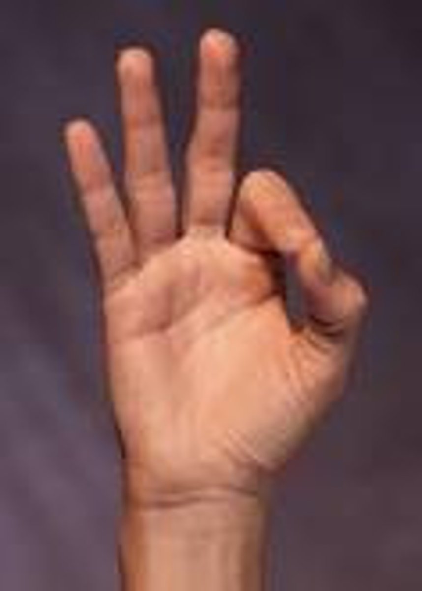 <p>Tip of index finger is touching tip of thumb. Middle, ring and little fingers are straight and slightly spread.</p>