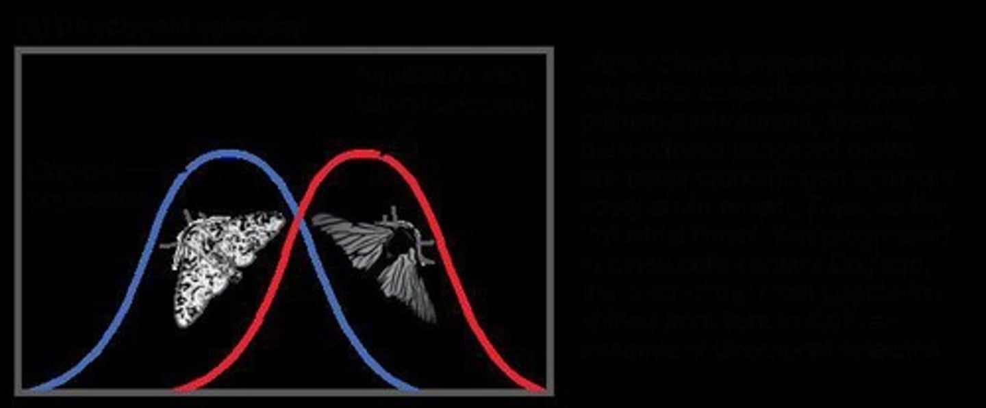 <p>During the Industrial Revolution, black moths were better camouflaged against soot-covered trees, leading to an increase in black moths and a decrease in white moths.</p>
