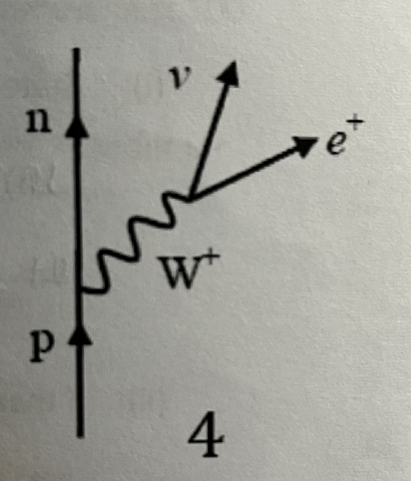 <p>-A proton decays via the weak interaction into a neutron, positron and electron neutrino.</p>